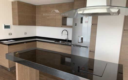 Depto 2D 1B Espectacular Vista Al Mar Reloj de Flores Viña